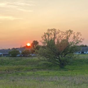 Meet your Posher, Abi